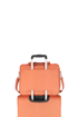 Obrazek Travelite Miigo Board Bag Copper/chutney 16 L